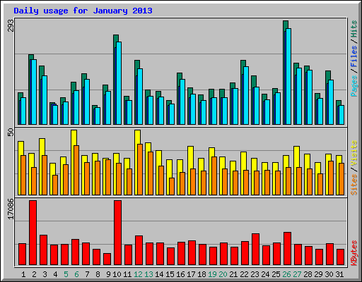 Daily usage for January 2013