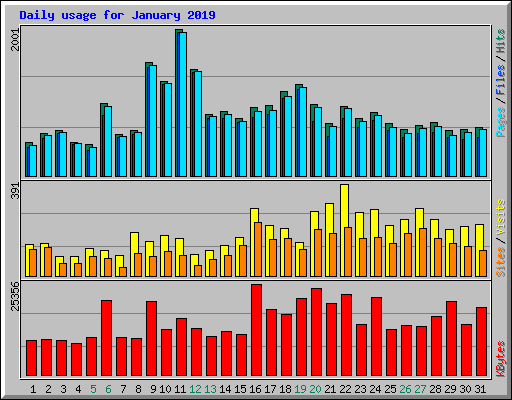 Daily usage for January 2019