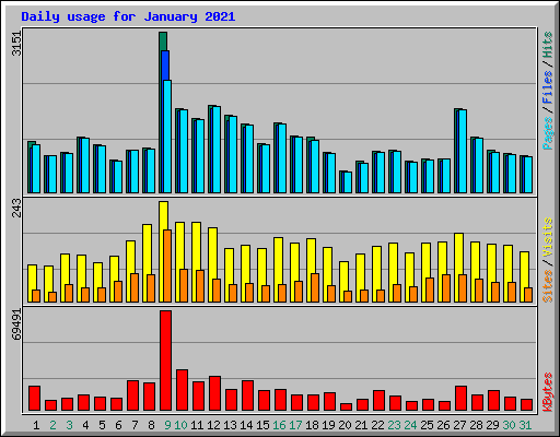 Daily usage for January 2021