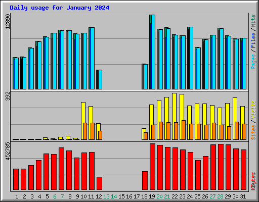 Daily usage for January 2024