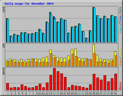 Daily usage for December 2024