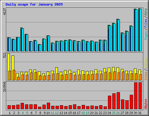 Daily usage for January 2025