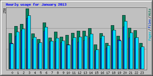 Hourly usage for January 2013