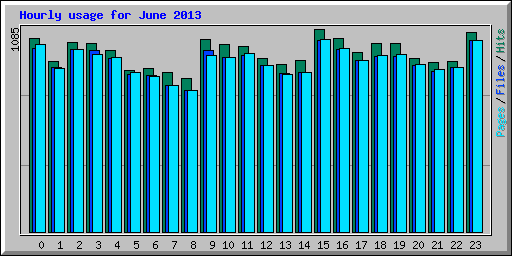 Hourly usage for June 2013