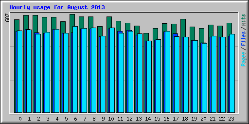 Hourly usage for August 2013