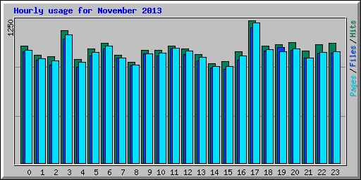 Hourly usage for November 2013