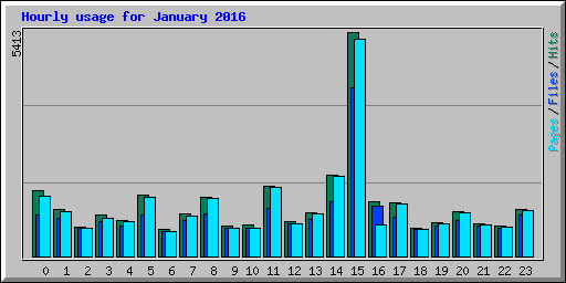 Hourly usage for January 2016