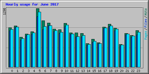 Hourly usage for June 2017