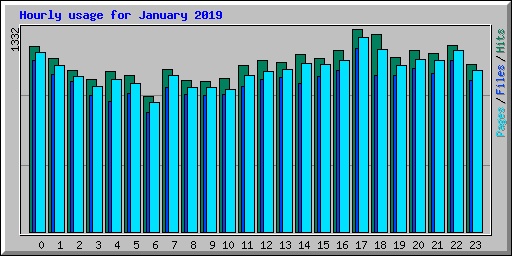 Hourly usage for January 2019