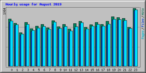 Hourly usage for August 2019