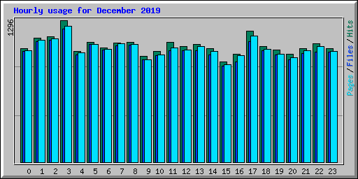 Hourly usage for December 2019