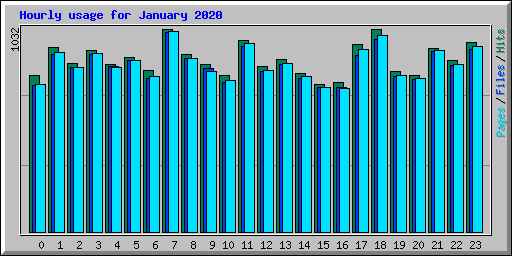 Hourly usage for January 2020