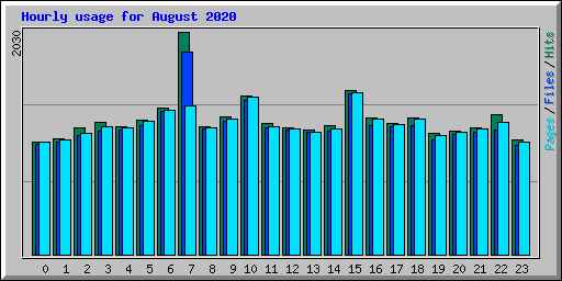 Hourly usage for August 2020