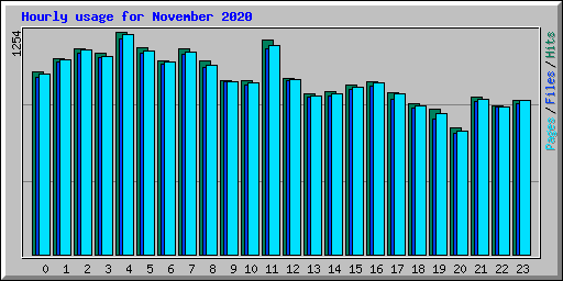 Hourly usage for November 2020