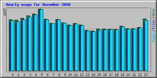 Hourly usage for December 2020