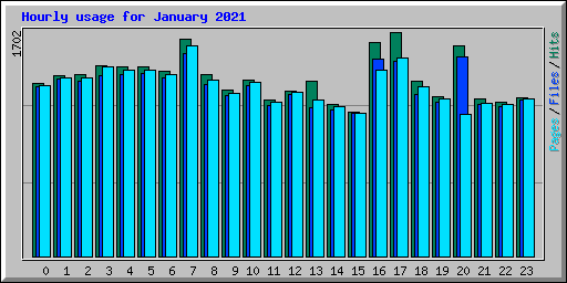 Hourly usage for January 2021