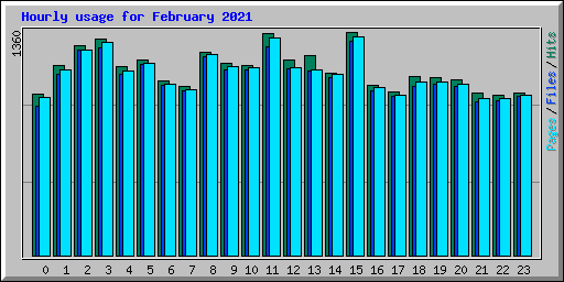 Hourly usage for February 2021