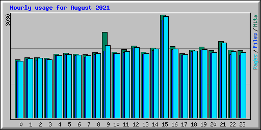 Hourly usage for August 2021