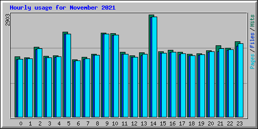 Hourly usage for November 2021