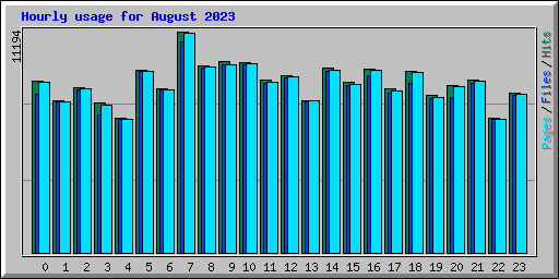 Hourly usage for August 2023