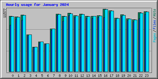 Hourly usage for January 2024