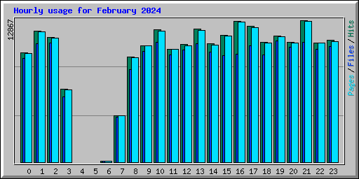 Hourly usage for February 2024