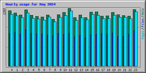 Hourly usage for May 2024