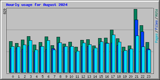 Hourly usage for August 2024