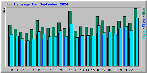 Hourly usage for September 2024