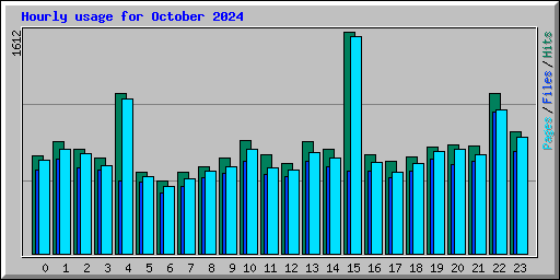 Hourly usage for October 2024