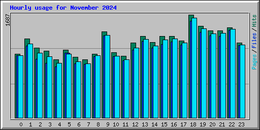 Hourly usage for November 2024