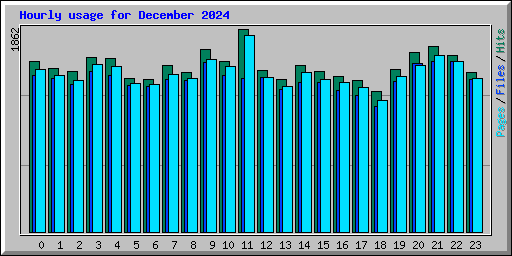 Hourly usage for December 2024