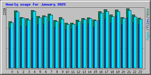 Hourly usage for January 2025