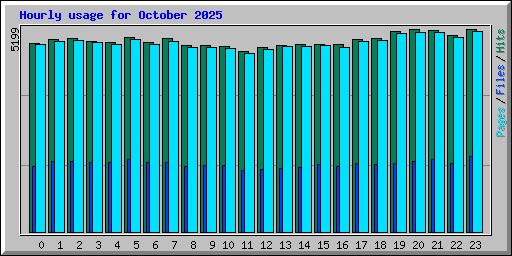 Hourly usage for October 2025