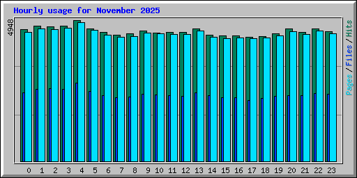 Hourly usage for November 2025
