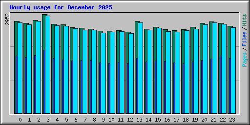 Hourly usage for December 2025