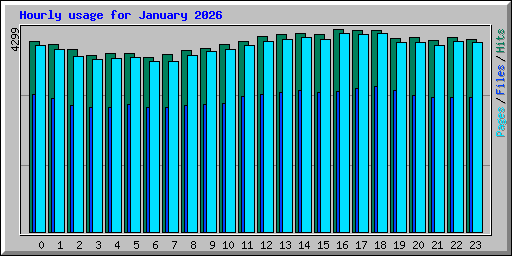 Hourly usage for January 2026