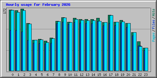 Hourly usage for February 2026