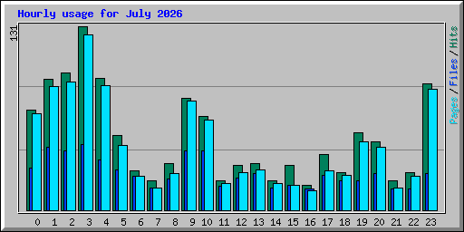 Hourly usage for July 2026